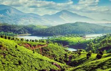 Family Getaway 3 Days 2 Nights Munnar Weekend Getaways Vacation Package