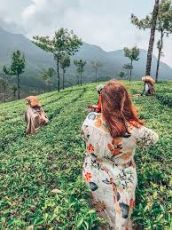 Family Getaway 3 Days 2 Nights Munnar Weekend Getaways Vacation Package