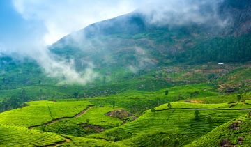 Pleasurable 5 Days Munnar Culture and Heritage Vacation Package