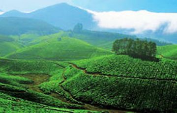 Heart-warming 3 Days 2 Nights Kodaikanal Weekend Getaways Vacation Package