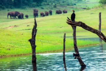 Pleasurable 3 Days 2 Nights Kozhikode with Wayanad Romantic Vacation Package