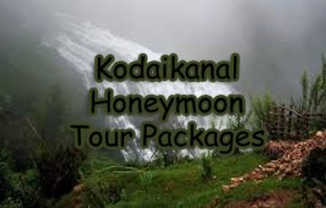 Ecstatic 4 Days Kodaikanal Hill Stations Holiday Package