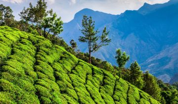 Amazing 4 Days 3 Nights Thekkady Shopping Vacation Package