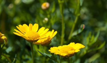 Amazing 4 Days 3 Nights Thekkady Shopping Vacation Package