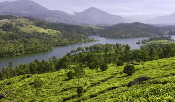 Amazing 4 Days 3 Nights Thekkady Shopping Vacation Package