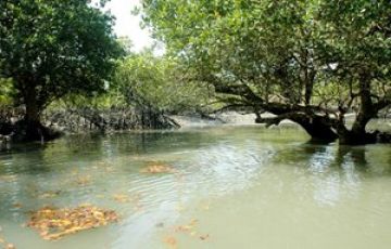 Beautiful 4 Days Kolkata Wildlife Trip Package