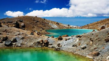 Experience 14 Days India to Rotorua Trip Package