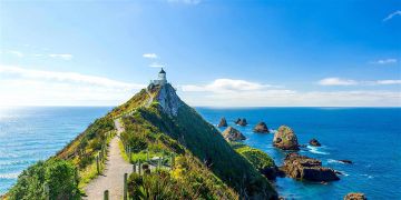 Experience 14 Days India to Rotorua Trip Package