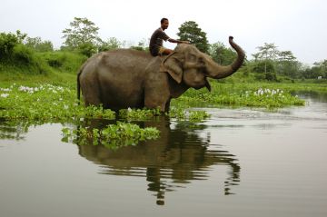 Pleasurable Kanha National Park Wildlife Tour Package for 4 Days
