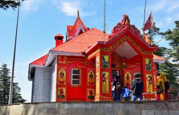 Amazing 5 Days Manali Forest Trip Package