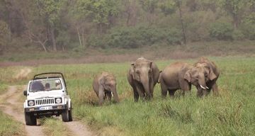 Magical 3 Days Delhi with Corbett National Park Religious Holiday Package