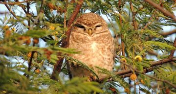 Amazing 3 Days Delhi to Bharatpur Weekend Getaways Trip Package