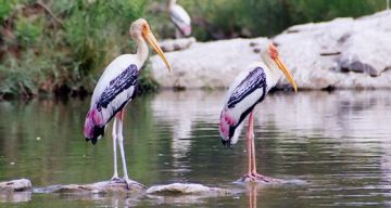 Amazing 3 Days Sultanpur Weekend Getaways Vacation Package