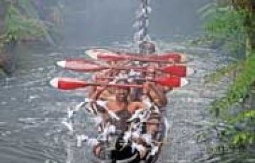 Pleasurable 5 Days Wellington Luxury Trip Package