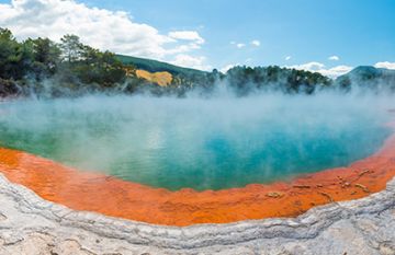 Pleasurable 5 Days Wellington Luxury Trip Package