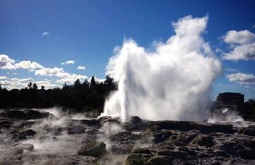 Pleasurable 5 Days Wellington Luxury Trip Package