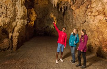 Pleasurable 5 Days Wellington Luxury Trip Package