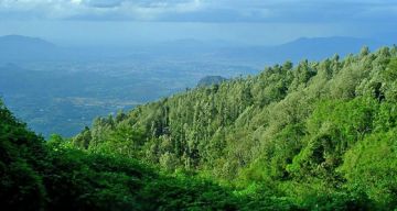 Ecstatic 3 Days Yercaud Tour Package