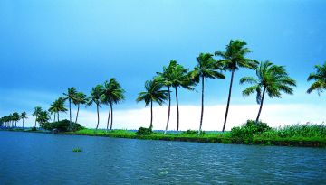 7 Days 6 Nights Munnar, Thekkady, Kovalam and Allepey Nature Vacation Package