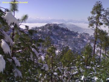 Beautiful 8 Days Nainital Wildlife Tour Package