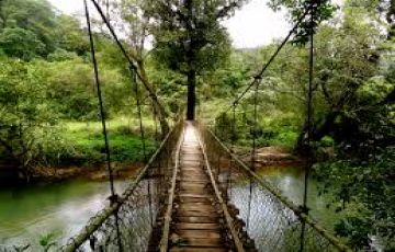 3 Days 2 Nights Coorg with Coonoor Romantic Vacation Package