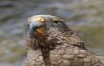 Ecstatic 5 Days 4 Nights Marlborough Tour Package