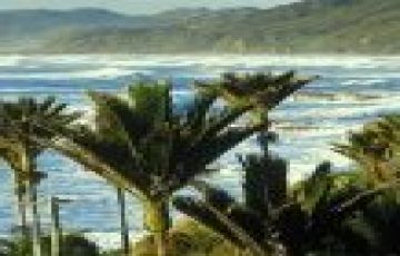 Ecstatic 5 Days 4 Nights Marlborough Tour Package