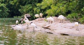 Family Getaway 3 Days Thattekad Holiday Package