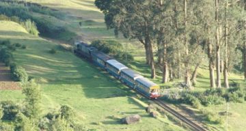 Amazing 3 Days Cochin and Ooty Tour Package