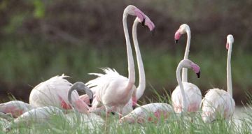 Magical 3 Days Ahmedabad to Jamnagar Trip Package