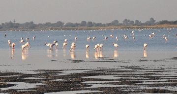 Beautiful 3 Days Ahmedabad and Dasada Weekend Getaways Tour Package