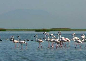 5 Days Bhubaneswar, Puri with Satapada Wildlife Vacation Package