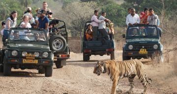 Family Getaway 3 Days 2 Nights Ranthambore Hill Stations Vacation Package