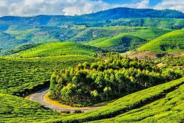 Bangalore -Mysore-Ooty Holiday package