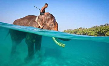 6 Days 5 Nights Port Blair, Havelock and Neil Island Romance Trip Package