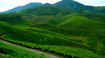 4 Days 3 Nights Kochi to Munnar Nature Vacation Package