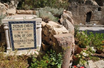 Experience 10 Days India to Amman Vacation Package