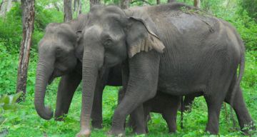 Best 3 Days Bangalore Weekend Getaways Holiday Package