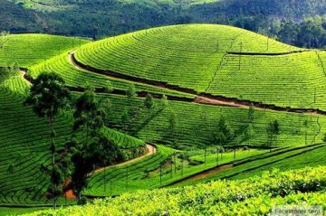 Family Getaway 8 Days 7 Nights Ooty Beach Tour Package