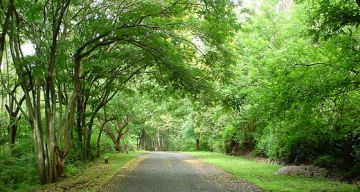 Memorable 3 Days Bangalore with Horsley Hills Vacation Package