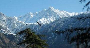 Heart-warming 3 Days 2 Nights Dharamshala Hill Stations Trip Package