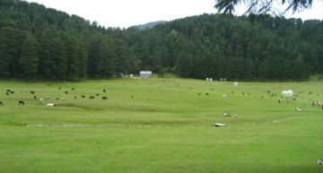 Experience 3 Days Dalhousie Hill Stations Tour Package