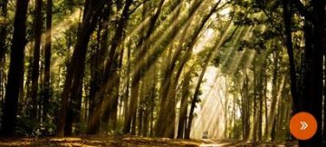 Amazing 5 Days 4 Nights Nainital Tour Package