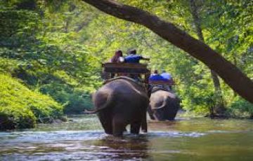 Family Getaway 8 Days Kerala, India to Kovalam Honeymoon Vacation Package