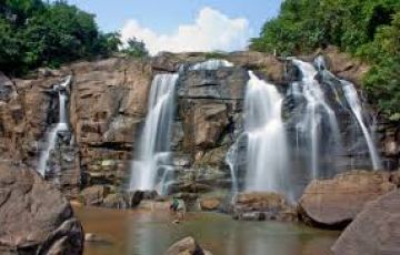 Memorable 4 Days Kerala, India to Munnar Wildlife Tour Package