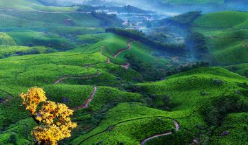 Beautiful 6 Days Kerala, India to Munnar Luxury Vacation Package