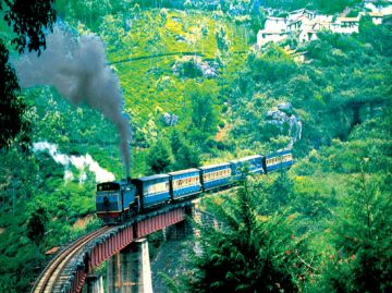 Family Getaway 8 Days Bengaluru to Ooty Trip Package