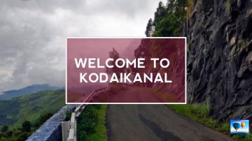 Family Getaway 8 Days Bengaluru to Ooty Trip Package