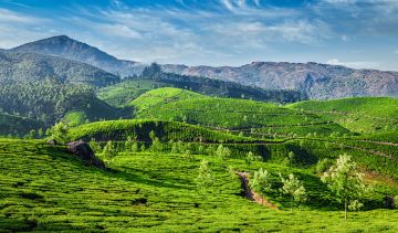 3 Days Munnar Hill Stations Tour Package