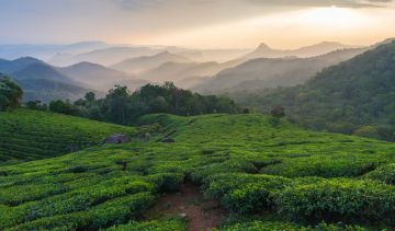 3 Days Munnar Hill Stations Tour Package